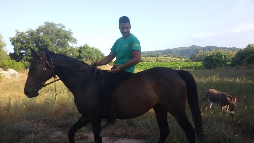 Agriturismo Su Solianu Bari Sardo Bagian luar foto